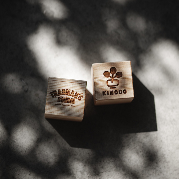 KINOCO × TRADMAN’S BONSAI CUBE 詳細画像